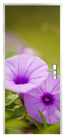 Cottage print fleurs